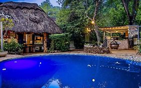 Victoria Falls Backpackers Lodge- Camp Sites
